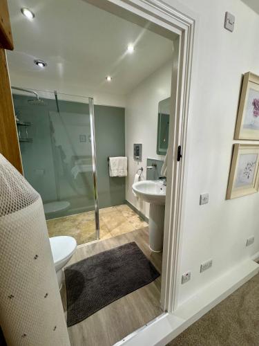 a bathroom with a shower and a toilet and a sink at Castle View Cottage at Snape Castle Mews in Bedale