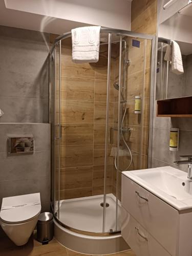 a bathroom with a shower and a toilet and a sink at AmaMolto Gardens - włoskie apartamenty in Wrocław