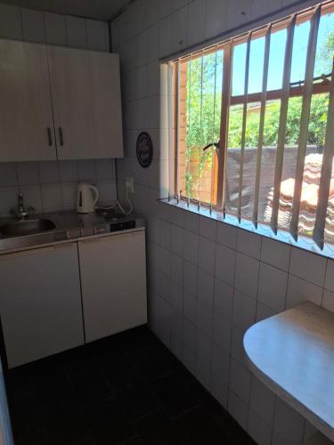 Casablanca Guesthouse في Carletonville: مطبخ صغير مع حوض ونافذة