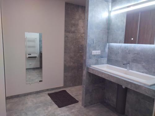 a bathroom with a sink and a mirror at Gîte Pink House in Rainville