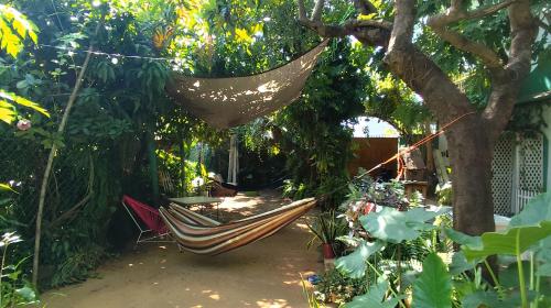 Un jardín fuera de Casa Santaella