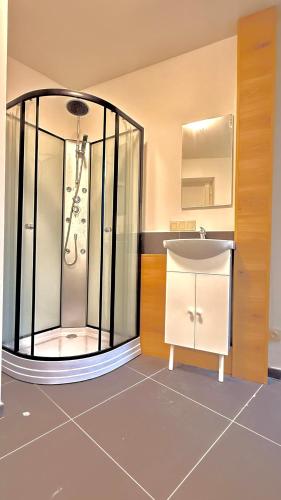 a bathroom with a shower and a sink at Orléan 41 A centre-gare-aéroport in Charleroi