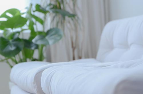 安特卫普Stylish Apartment City Center的白色沙发上放着一瓶植物。