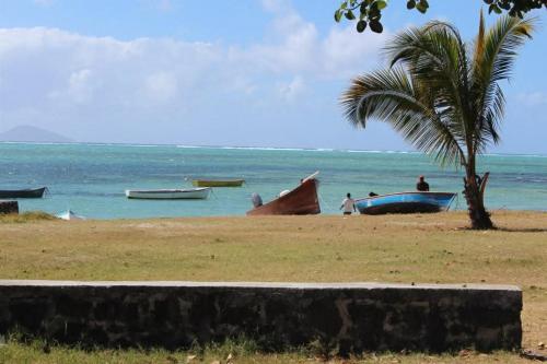 Φυσικό τοπίο κοντά σε αυτό το διαμέρισμα