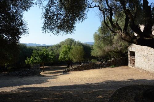 a stone building in a field with trees in the background at Stazzu Spadulagliu near Olbia in Telti