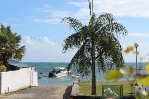 Φυσικό τοπίο κοντά σε αυτό το διαμέρισμα