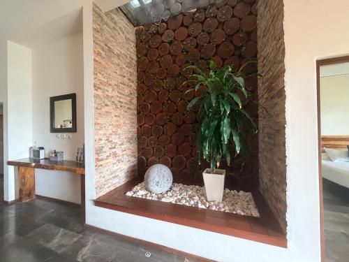 un bagno con una pianta in una parete di Villa with ocean view, pool, restaurant and rooftop a Isla Mujeres