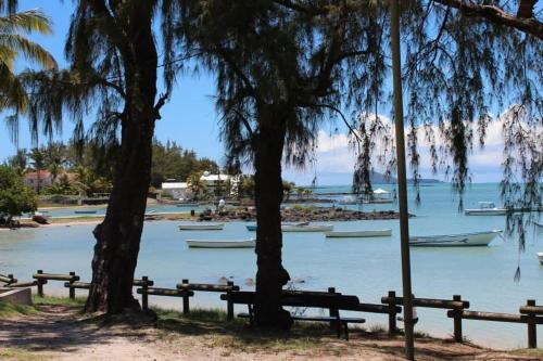 Peisaj natural din apropierea acestui apartament