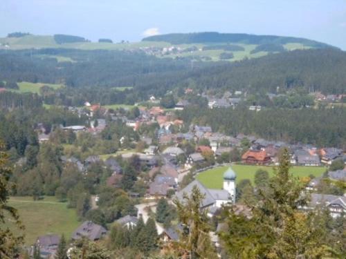 una piccola città con una torre dell'orologio su una collina di Große Ferienwohnung Oberzarten a Hinterzarten