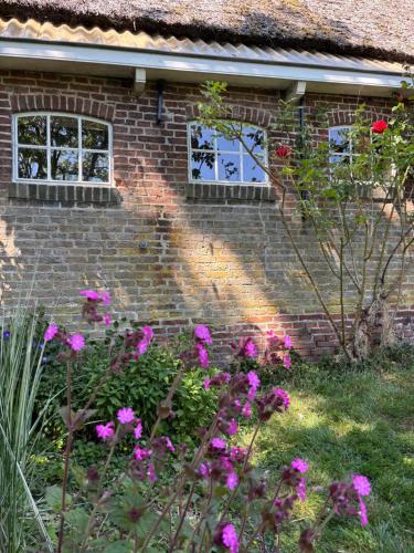 Billede fra billedgalleriet på B&B Terpboerderij Jannum i Janum