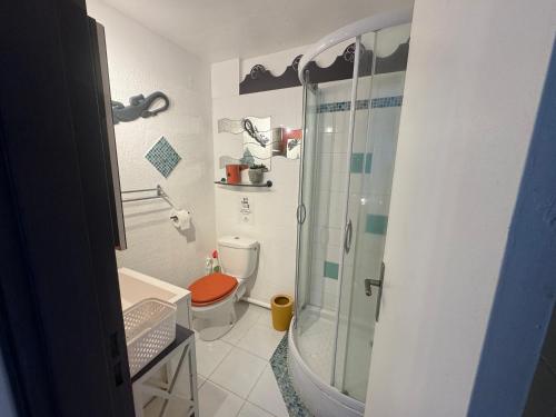 un piccolo bagno con doccia e WC di Kay lanmou location de vacances Sainte Anne a Sainte-Anne