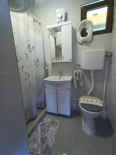 a bathroom with a toilet and a sink and a shower at Vila Lenka in Sekulić 