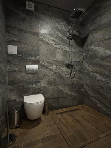a bathroom with a toilet and a shower at ChillVille in Ternopilʼ