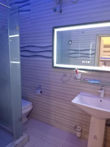 アブジャにあるMiriya Hotel and Apartmentsの洗面台、トイレ、窓のあるバスルーム