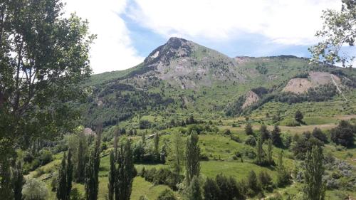 a view of a mountain with trees in the foreground at Hotel Casa Socotor in Sallent de Gállego