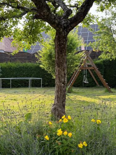 Zahrada ubytování Apartments Žnidar