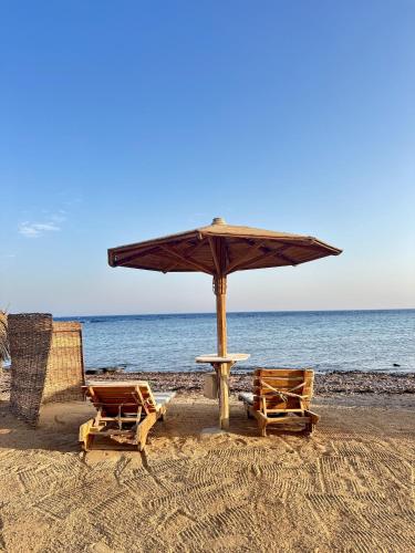 Foto de la galeria de Daniela Diving Resort Dahab a Dahab