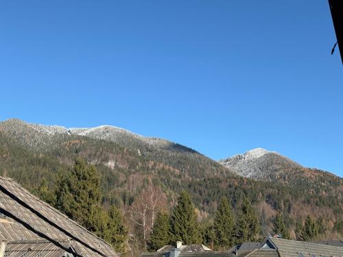a view of mountains from the roof of a house at Pod Gora Boutique Hotel in Kranjska Gora