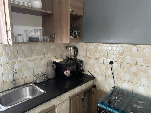 Η κουζίνα ή μικρή κουζίνα στο Aurora one