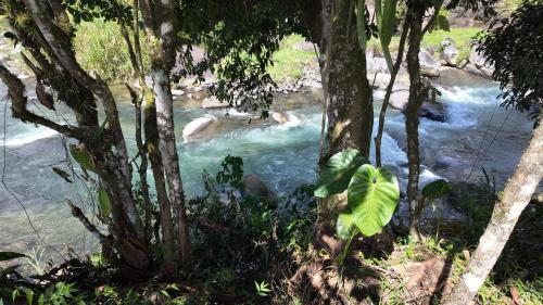 Příroda nedaleko apartmánu