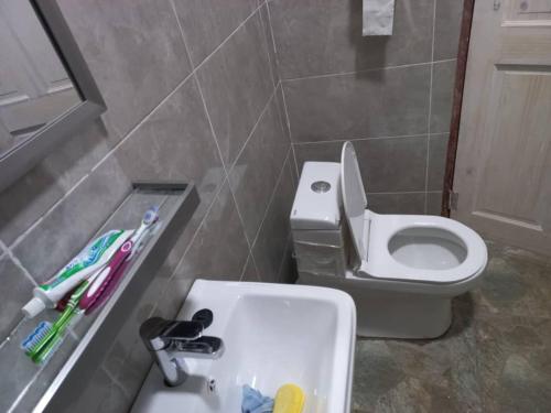 een kleine badkamer met toilet en wastafel bij The Home Apartments in Kolwezi