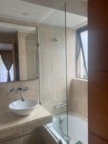 a bathroom with a sink and a glass shower at Monica Canales in Santiago