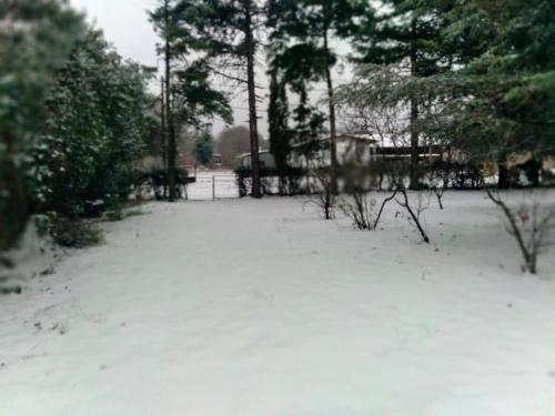 Casa Aleluna خلال فصل الشتاء