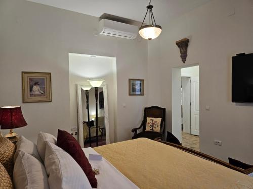 贝尔格莱德Belgrade Luxury Suite 17的一间带床、沙发和电视的卧室