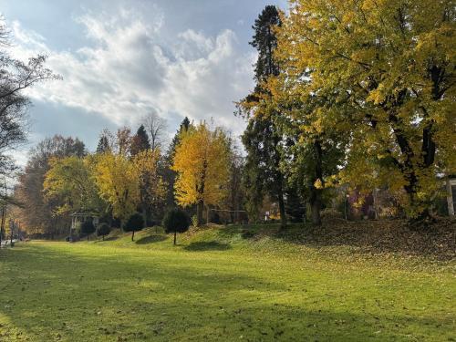 a park with trees and a grass field at Унікальні двокімнатні апартаменти класу ЛЮКС in Solochin