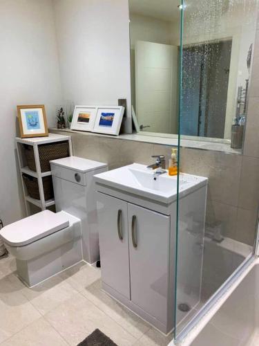 a bathroom with a toilet and a sink and a shower at Modern loft style apartment in converted church in Edinburgh