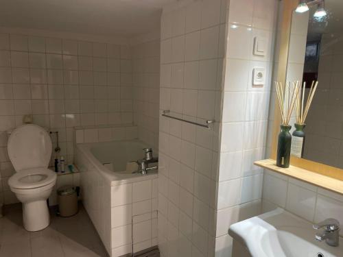 Ένα μπάνιο στο Studio avec Sauna secteur Centre Ville