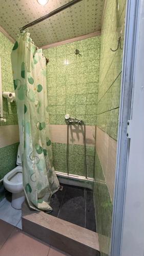 um banheiro com chuveiro e vaso sanitário em Vahe's corner house em Yerevan