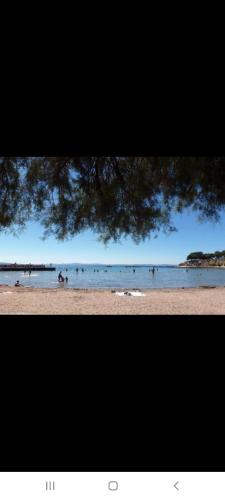 Central Beach