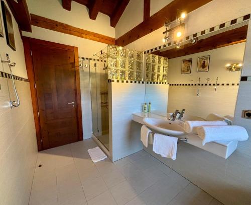 纳瓦夫里亚La Hacienda De Navafria的带水槽和淋浴的浴室