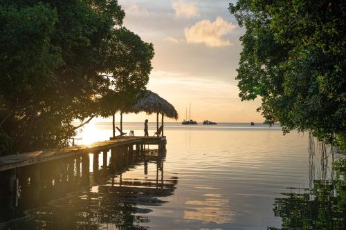 旅舍周边自然景观