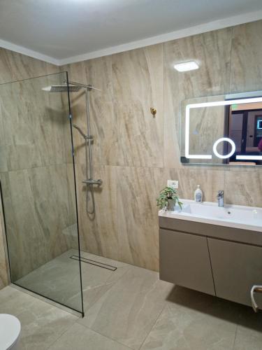 een badkamer met een douche en een wastafel bij Vila Timeea in Statjunea Borsa