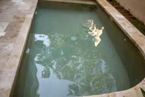 图卢姆Peregrina Tulum 102A 2BR Luxury Condo的在水中游泳的海龟