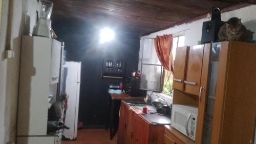 una cucina con un frigorifero e due gatti seduti sui mobili di Casa en costa de oro Uruguay a Neptunia