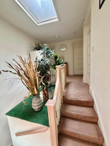 a hallway with a skylight and stairs with plants at Pleasant Rooming House in Washington, D.C.