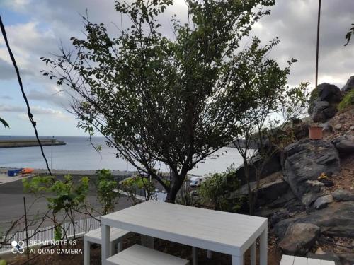 a white bench sitting in front of a tree at Apartamento Puerto Estaca 1 in Valverde