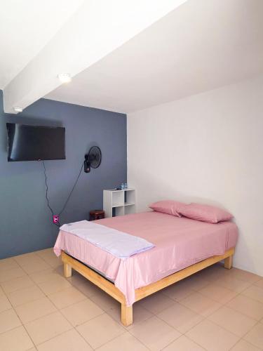 a bedroom with a bed with pink sheets and a tv at Habitación estándar tancitaro in Oaxaca City
