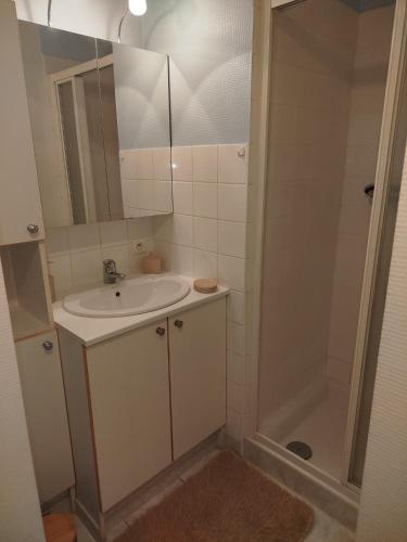 a bathroom with a sink and a shower at Appartement cocooning in Laval