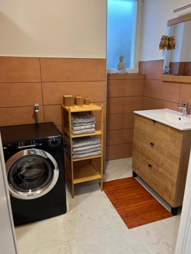 a bathroom with a washing machine and a sink at Chez F & G in Sélestat
