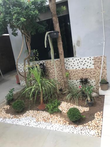 Hospedaria Rancho Pérolaにある庭