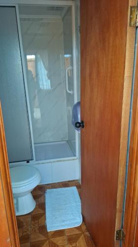 拉塞雷纳Hostal Valles del Mar的带淋浴、卫生间和门的浴室