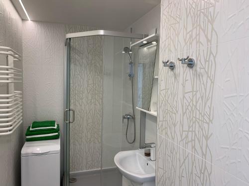 un bagno con doccia, WC e lavandino di Snow apartment a Druskininkai