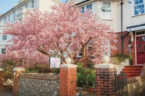 a pink flowering tree in front of a building at The Cherry Tree B&B in Eastbourne