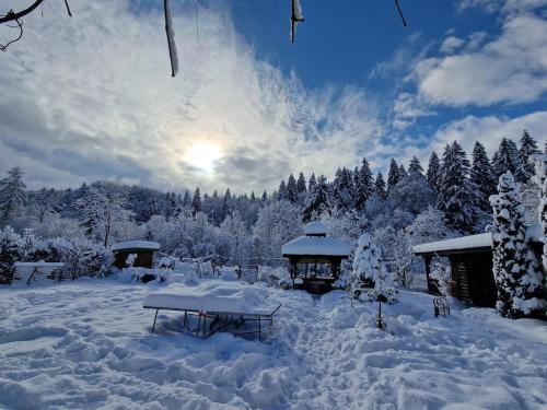 Gallery image of Max River Chalet in Porumbacu de Sus