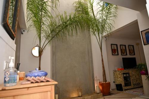 TV a/nebo společenská místnost v ubytování Riad Dar Fena By K&G &jacuzzi