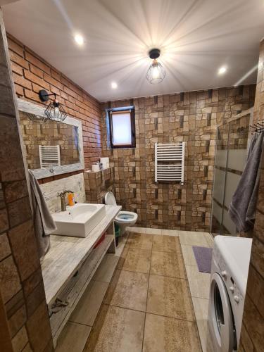 Skazdub StarySummer house in Suwalszczyzna- Dom w Dolinie Rospudy的带水槽和马桶的浴室